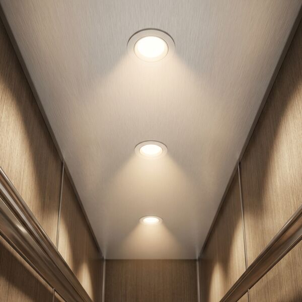 Warm heritage theme — ceiling detail with warm-LED downlights and oak surround